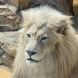 ���� ����, ������, 20 ��� - ��������� 25 ������ 2026