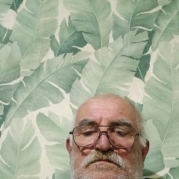 , 57, 