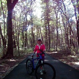 �������, ����������