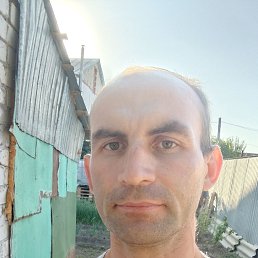 , 37, 