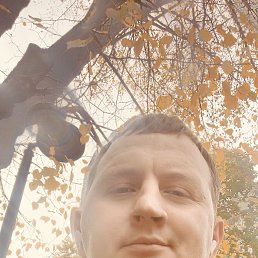 �������, 31 ���, ������