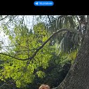 ���� �������, ����, 59 ��� - ��������� 22 ������� 2025