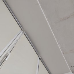 ���� ������, ������, 42 ���� - ��������� 15 ������ 2023