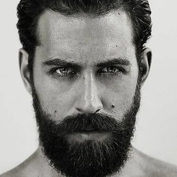 ����, ���������