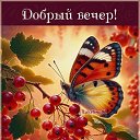 ���� ������, �������� - ��������� 2 ������� 2026 � ������ ������ ��������