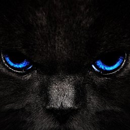Black, 