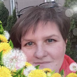 , 41, 