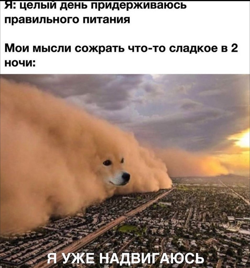    - 25  2023  00:31