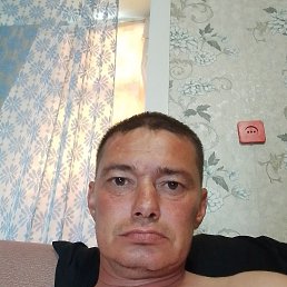 , 41 , 