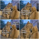 ���� ����, ��������� - ��������� 28 ������ 2026 � ������ ������ ��������