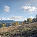 ���� ����, �������, 43 ���� - ��������� 11 ������� 2024