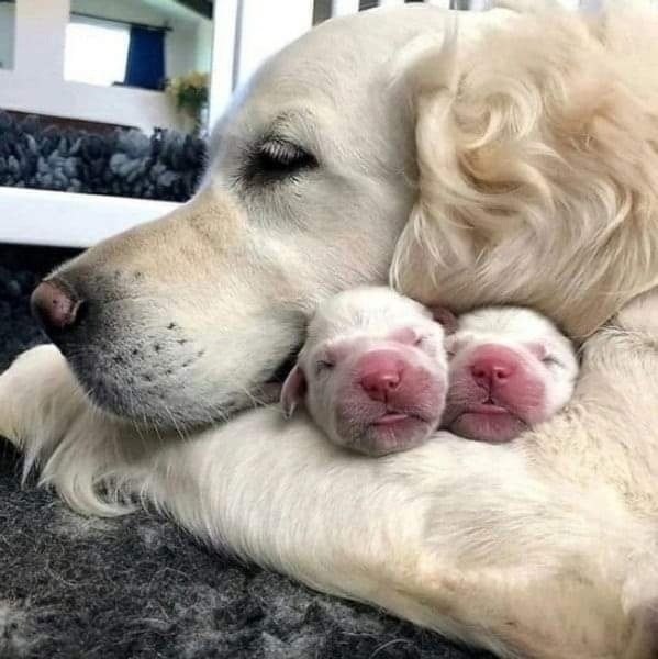  ,    ..