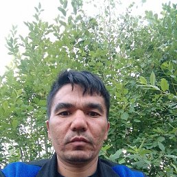 , 35, 
