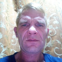 ����, 43 ����, ���������