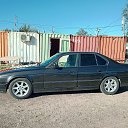���� ����������, ������, 55 ��� - ��������� 25 �������� 2025 � ������ ���� ����������