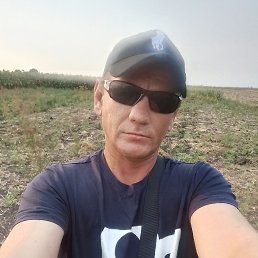 , 34 , 