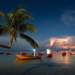 �������, ����