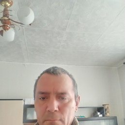 , 48, 