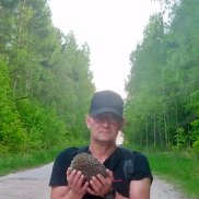 , 44 , 