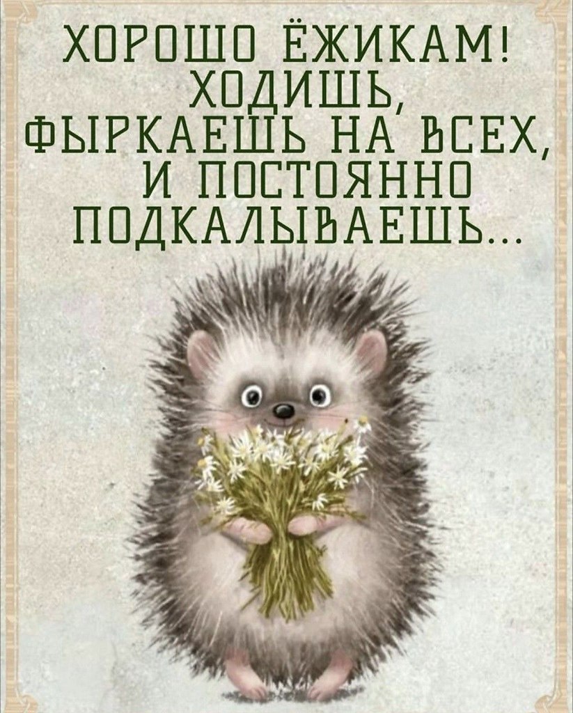 ������������� ���� - 27 ����� 2026 � 14:47