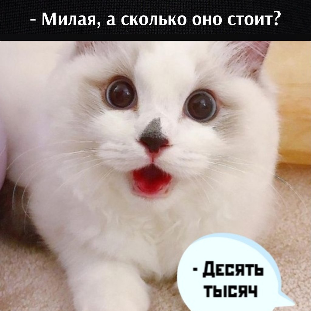       - 9  2023  12:44 - 2