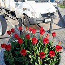 ���� Azamat Baratov, ���-���������, 51 ��� - ��������� 13 ���� 2025 � ������ ���� ����������