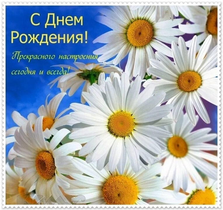   ,    . - 31  2025  23:59