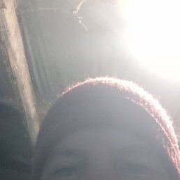 , 40, 