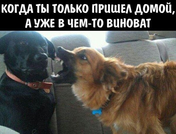    - 6  2023  18:29