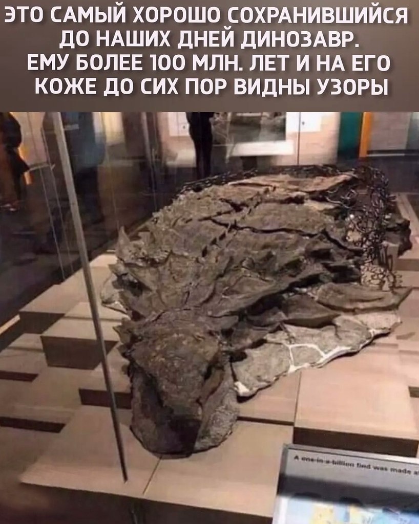 �����a�p ���ap��e� � �a��e � ����ep�e � a�a�e � 2011 ����. ��a�e�e��c�� �������p�-�������p� ����e��� ...