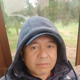, 55, 