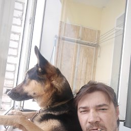 ���� ����������, ������, 43 ���� - ��������� 12 ������ 2024