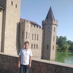 , 46 , 