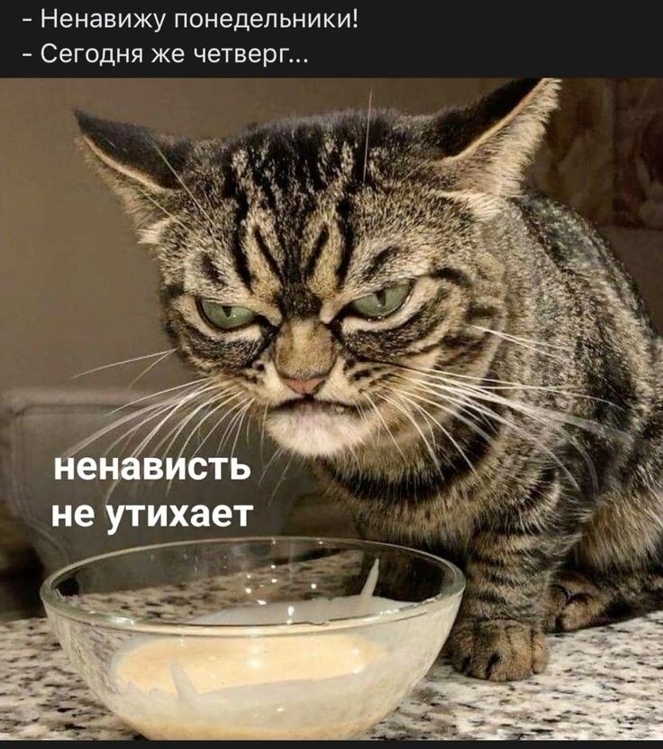   - 7  2025  22:55