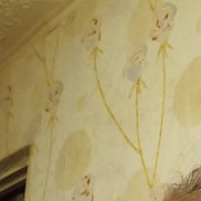 �����, , ������������