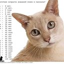 ���� ����������, ������, 49 ��� - ��������� 21 ������� 2025 � ������ ���� ����������