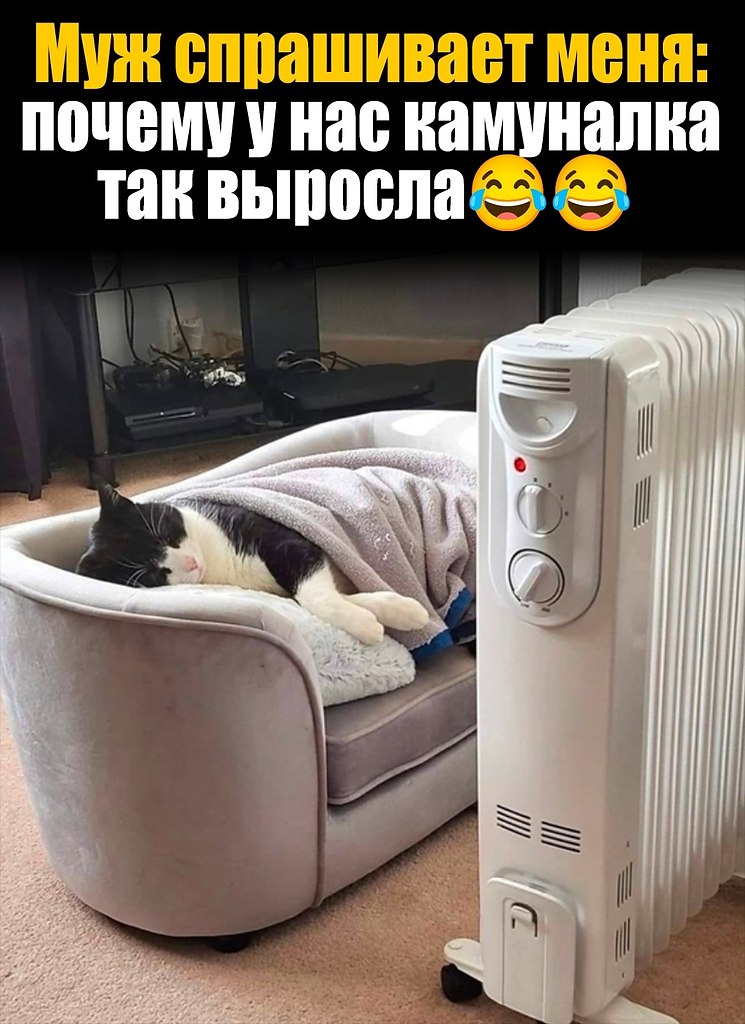  - 6  2024  02:05
