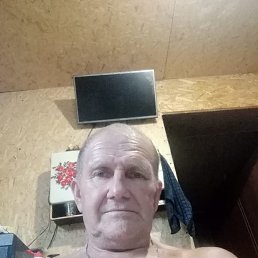 , 65 , 