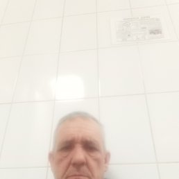 , 53, 