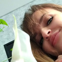 ��������, ���������, 35 ���