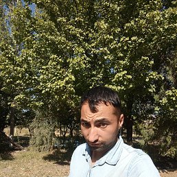 , 31, -