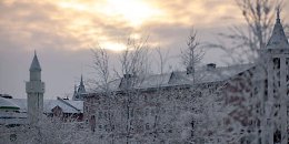 �����������