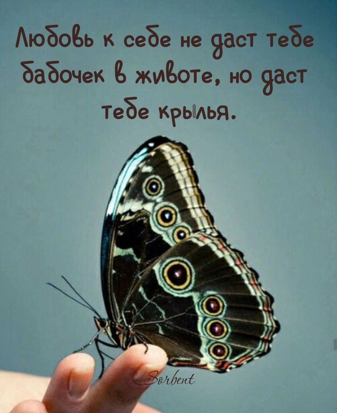 *T* - 14  2025  08:38