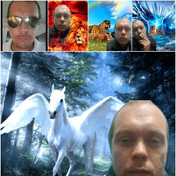 , 35, 