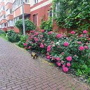 ���� ����, �����������, 64 ���� - ��������� 20 ���� 2025 � ������ ������ ��������