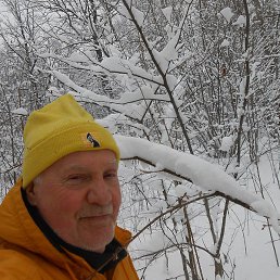 ��������, ������, 105 ���