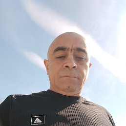 , 53 , 