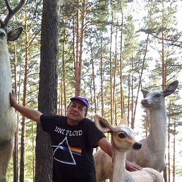 ���� ��������, �����������, 64 ���� - ��������� 28 ����� 2026