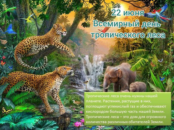 Именины: Рафаил, Марианна, Александр, Алексей, Мария, Иван, Марфа, Кирилл, Фекла - 4