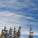 ���� �������, ���������, 49 ��� - ��������� 29 ������ 2026 � ������ ���� ����������